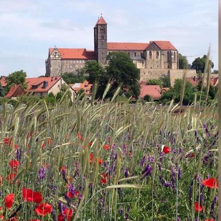 Ferienhaus Harzvorland Ballenstedt Exteriör bild