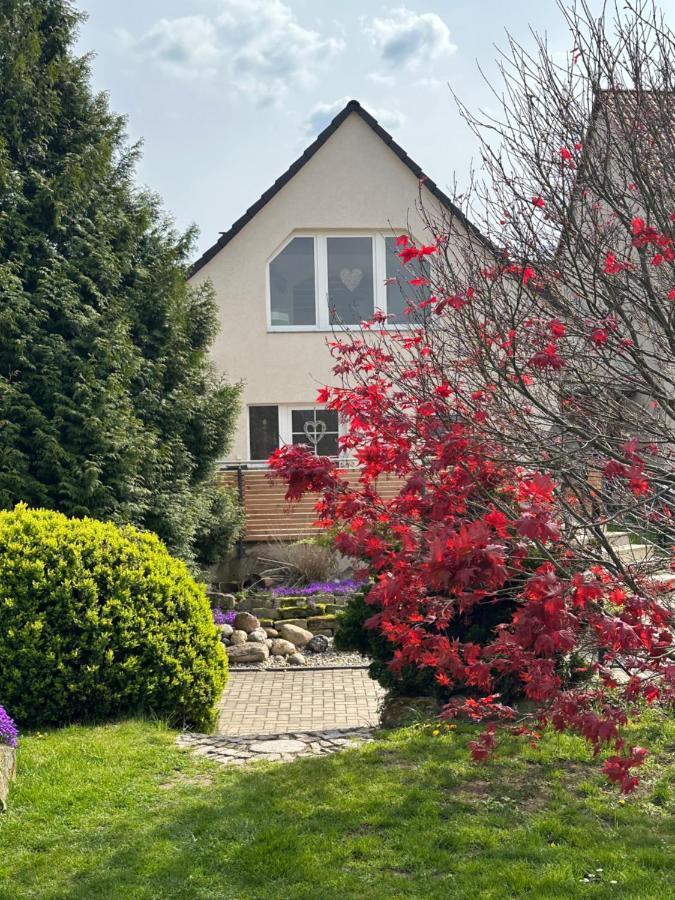 Ferienhaus Harzvorland Ballenstedt Exteriör bild